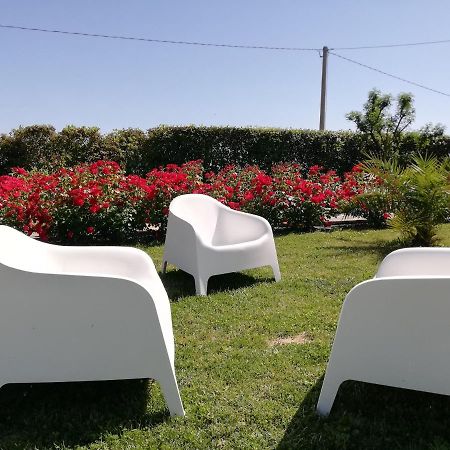 Ostra Vetere Casa Vacanze Angelica מראה חיצוני תמונה