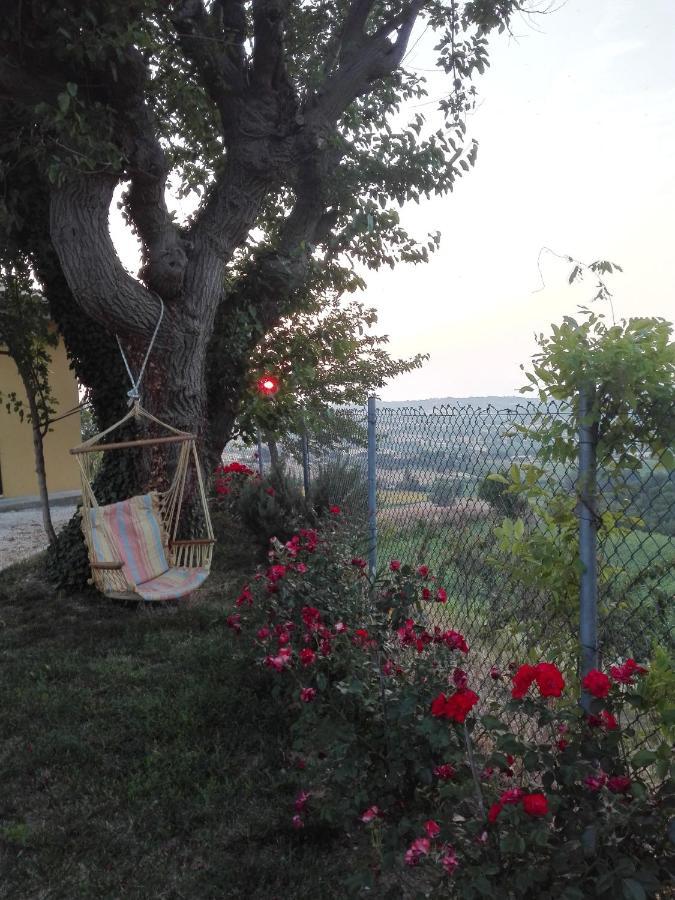 Ostra Vetere Casa Vacanze Angelica מראה חיצוני תמונה