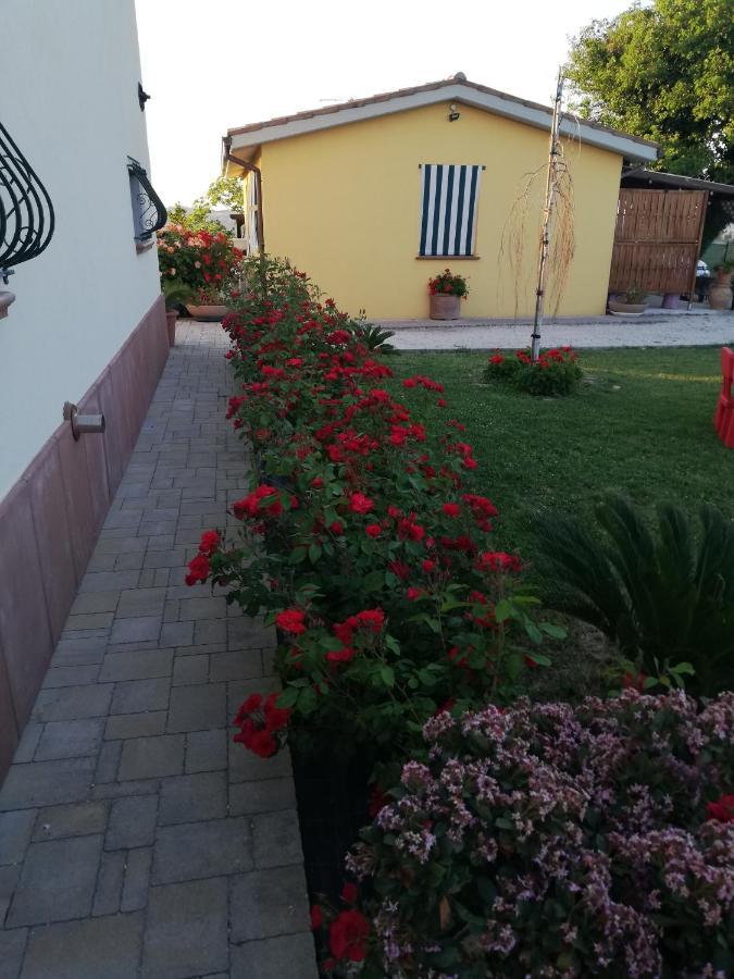 Ostra Vetere Casa Vacanze Angelica מראה חיצוני תמונה