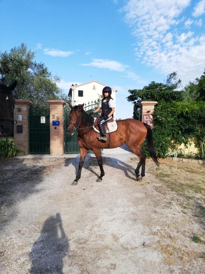 Ostra Vetere Casa Vacanze Angelica מראה חיצוני תמונה